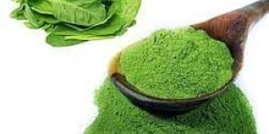 Spinach Powder