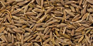Cumin Seeds