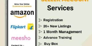 E Commerce Account Management Services