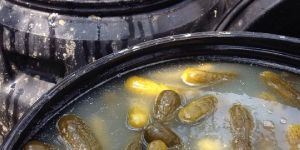 6-9 cm pickled gherkins (brine)