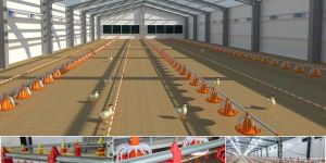 Commercial Broiler Poultry House