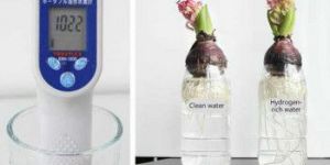 Ionrich Hydrogen Water Purifier