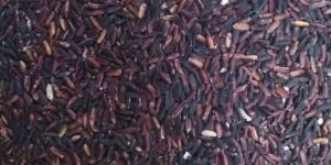 Pure Natural Organic Black Rice