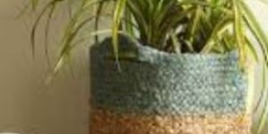 Jute Baskets