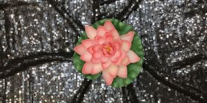 Fancy Sequin Work Fabric