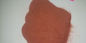 TOMATO SPRAY DRIED POWDER