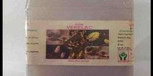 Verticillium Lecanii Biopesticide