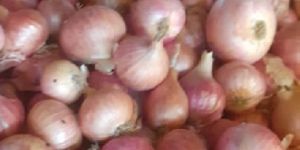 POPULAR TRADING COMPANY