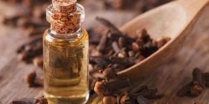 Clove Oil