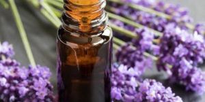 Neroli Essential Oil