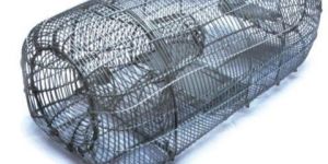 Mini Fogging Machines