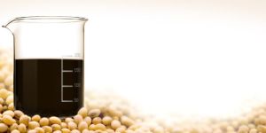Soya Fatty Acid Distillate
