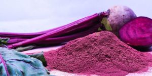 Dehydrated Beet Root Powder