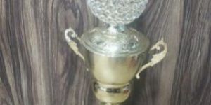 Cricket Trophy