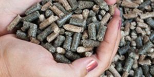 Biomass Pellets