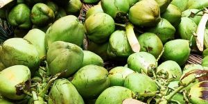 COCONUT WATER NATURAL