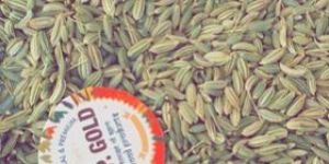 Fennel Seeds