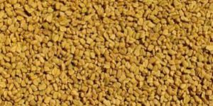 Fenugreek Seed