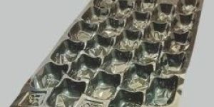 Fruit Blister Packing Tray