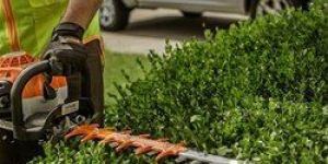 Hedge Trimmers