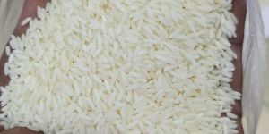 Sona Masoori Steam Rice