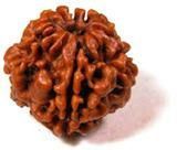 Rudraksha Dana