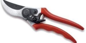 Pruning Secateur