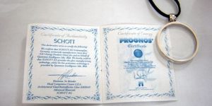 Bio Energy Scalar Pendant