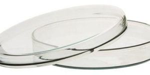 Laboratory Petri Dish