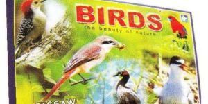 Plastic Jigsaw Puzzles