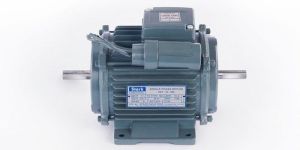 Double Shaft Motor