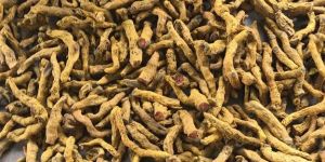 Natural Turmeric Finger