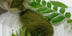 Dried Curry Leaves Powder