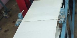 Papad Making Machines