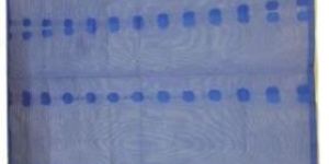 Designer Ladies Stole