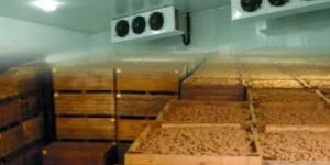 Stainless Steel Vegetable Cold Storage