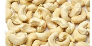 Cashew Nut