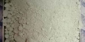 Azotobacter Biofertilizer