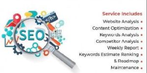 Search Engine Optimization