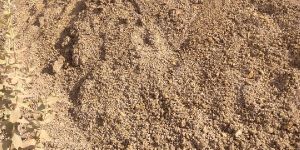Bentonite Clay