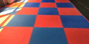 Kabaddi Matt / EVA Interlocking Matt