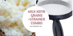 Live & Organic Milk Kefir Grains With Strainer and Wooden Spoon