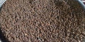 Nilgiri Tea