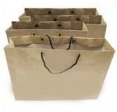 Craft Paper Carry Bag