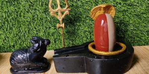 Ardhnareshwar Narmada Shivling Stone