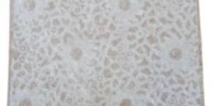 Handmade Cotton Lace Paper