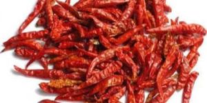 Teja Guntur Red Chilli