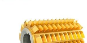 Module Gear Hobbing Cutter