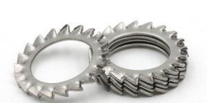 Multi Tooth Washer