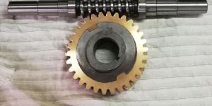 Industrial Gear Worm Set